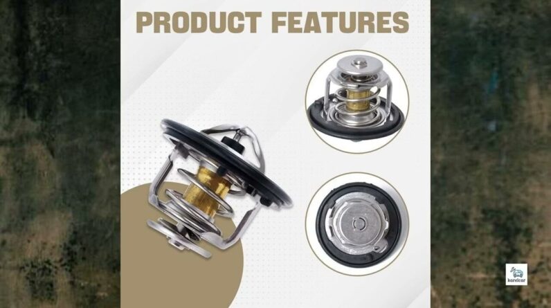 Review - Car Thermostat, High Performance Thermostat, Automotive Replacement Engine Thermostats