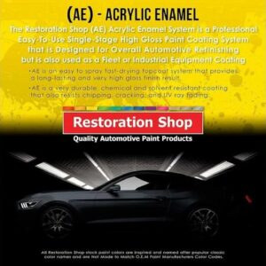 Review - Restoration Shop - Dove Gray Acrylic Enamel Auto Paint - Complete Gallon Paint Kit