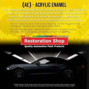 Review - Restoration Shop - Jet Black (Gloss) Acrylic Enamel Auto Paint - Complete Gallon Paint Kit