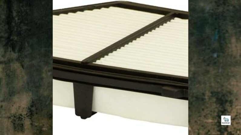 Review - ECOGARD XA10496 Premium Engine Air Filter