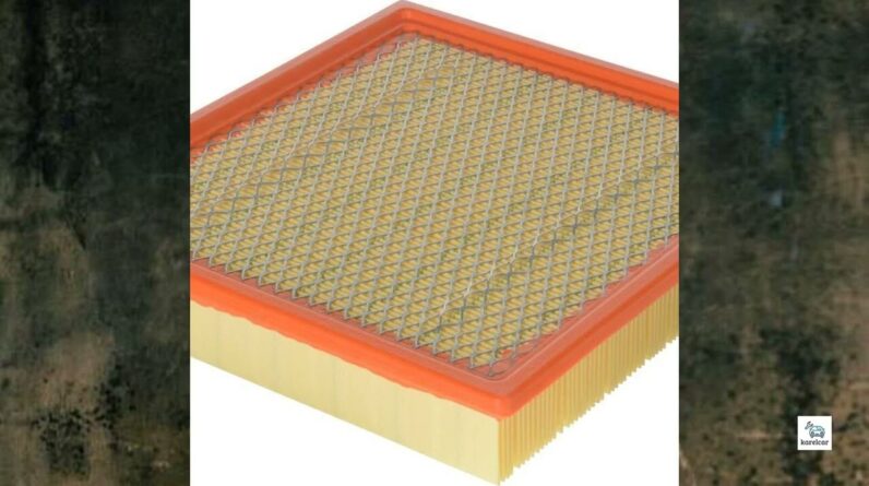 Review - FRAM Extra Guard Air Filter, CA10262