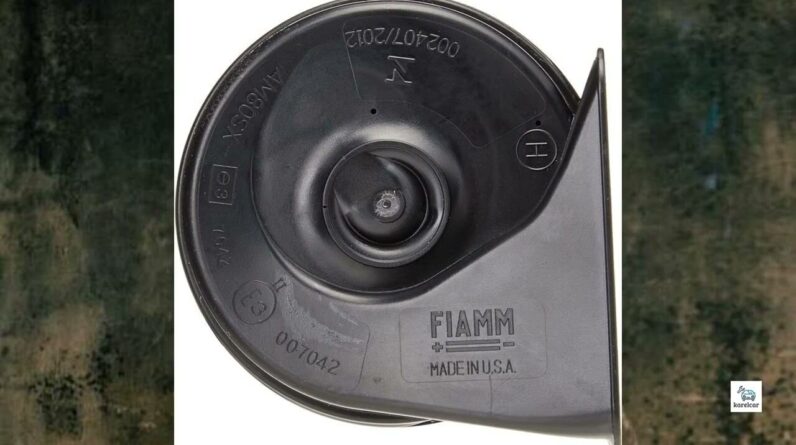 Review - FIAMM 72112 Freeway Blaster LOW Note Horn