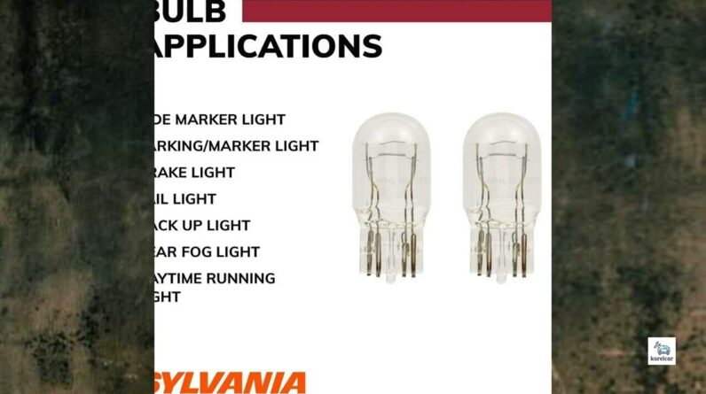 Review - SYLVANIA - 7443 Long Life Miniature Bulb