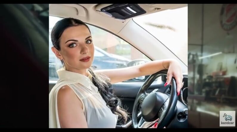 Review - YQQYG Car Visor Organizer, Car Document Holder for Cards License Registration Do